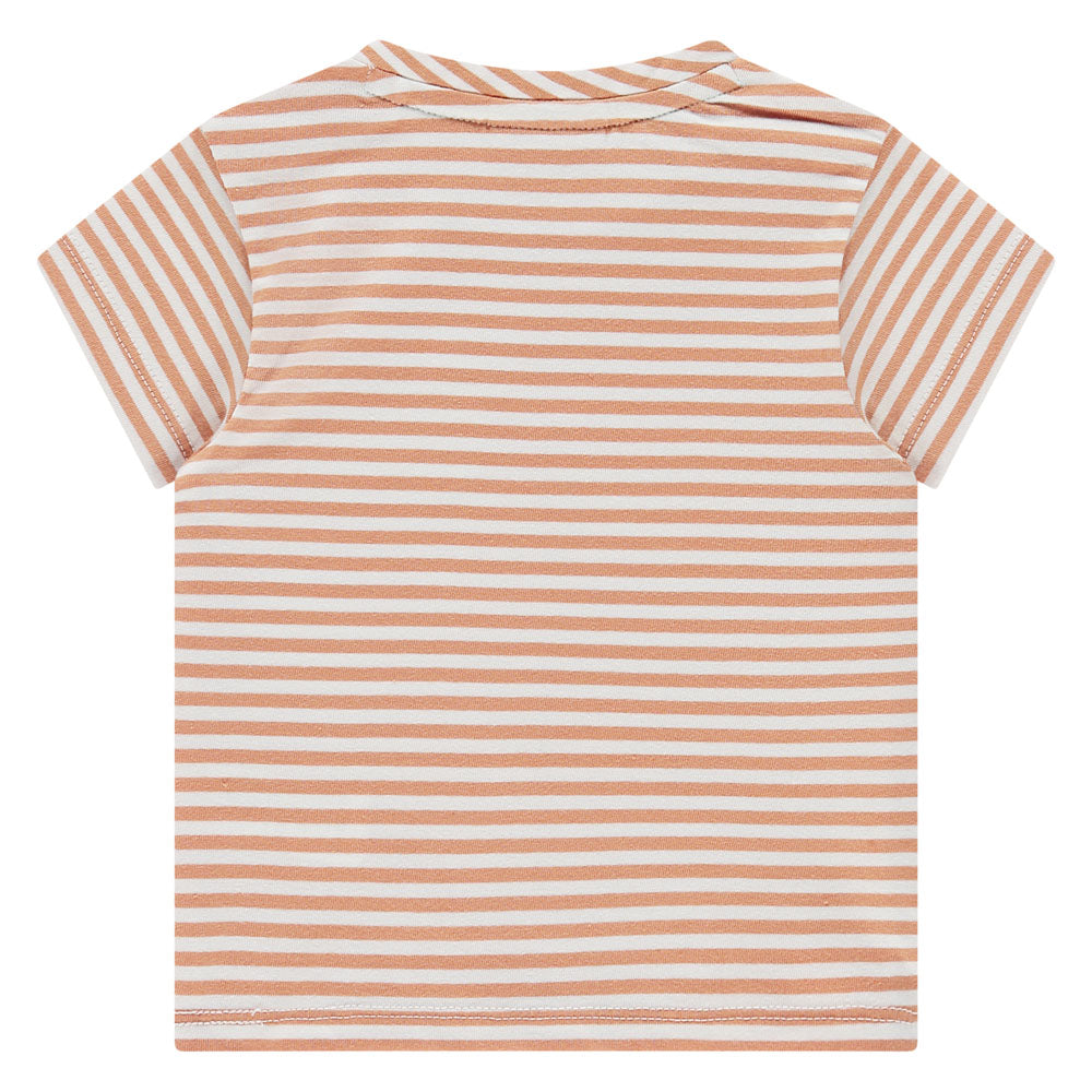 Camiseta manga corta bebé niño