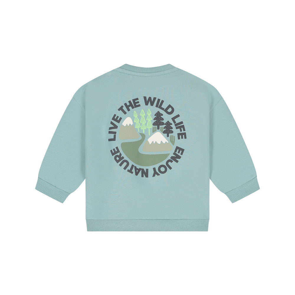 Sudadera bebé niño