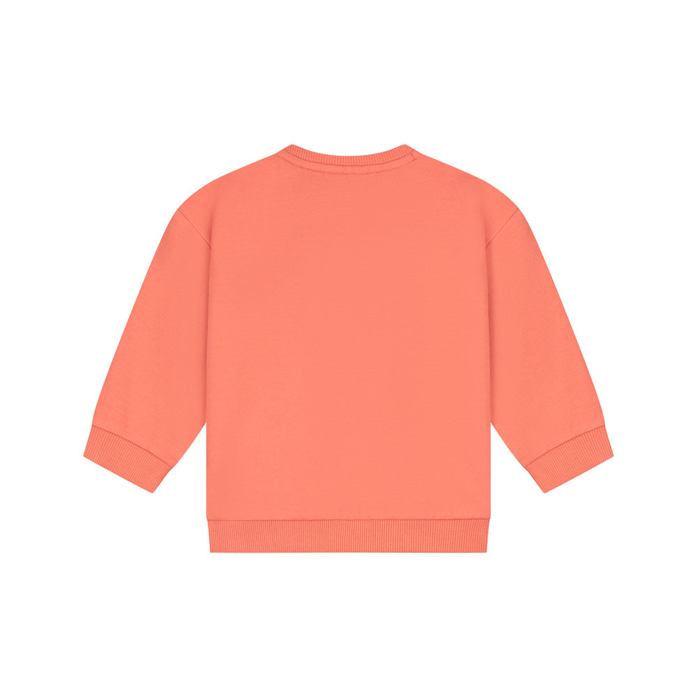 Sudadera bebé niño