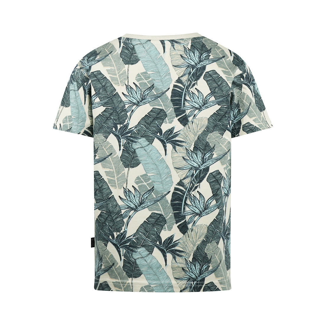 Camiseta manga corta niño