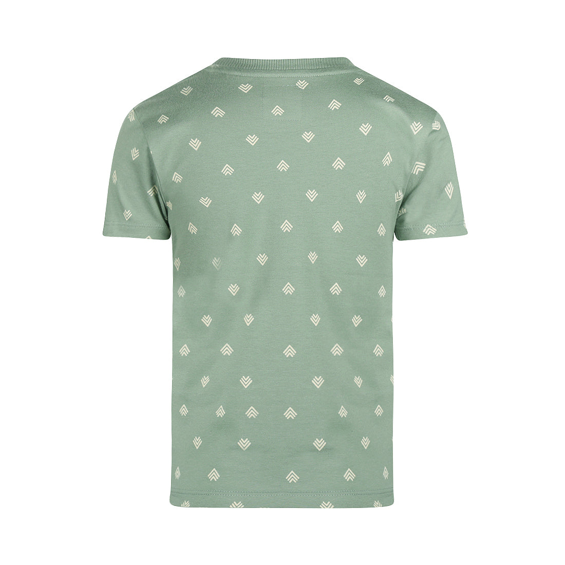Camiseta manga corta niño