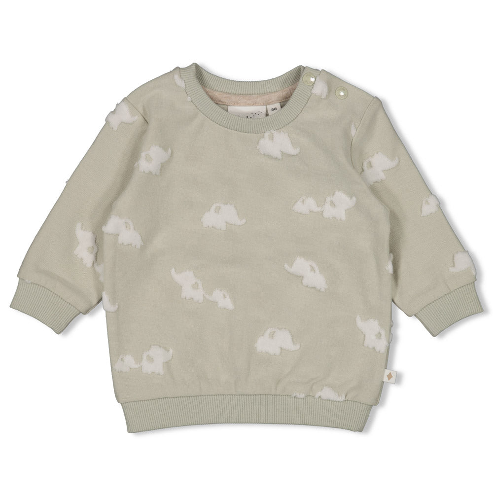 Haurtxo mutilen Elephant sudadera