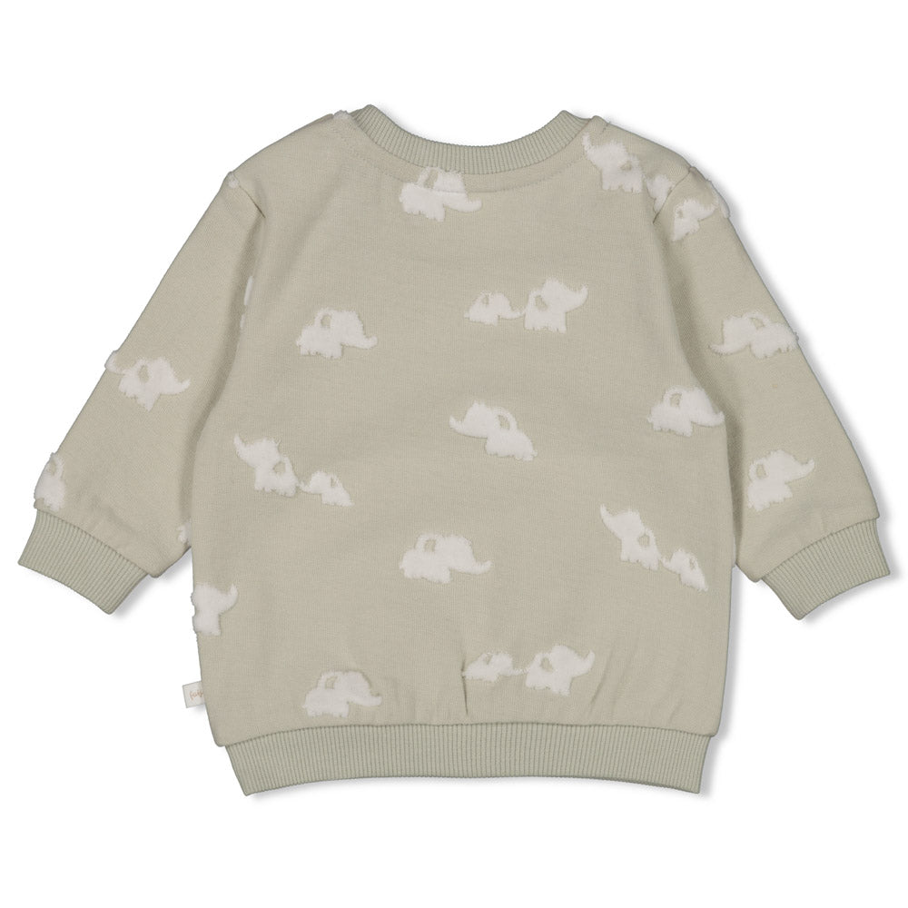 Haurtxo mutilen Elephant sudadera