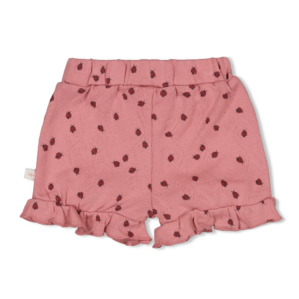 Pantalón corto de canalé bebé niña Lovebug
