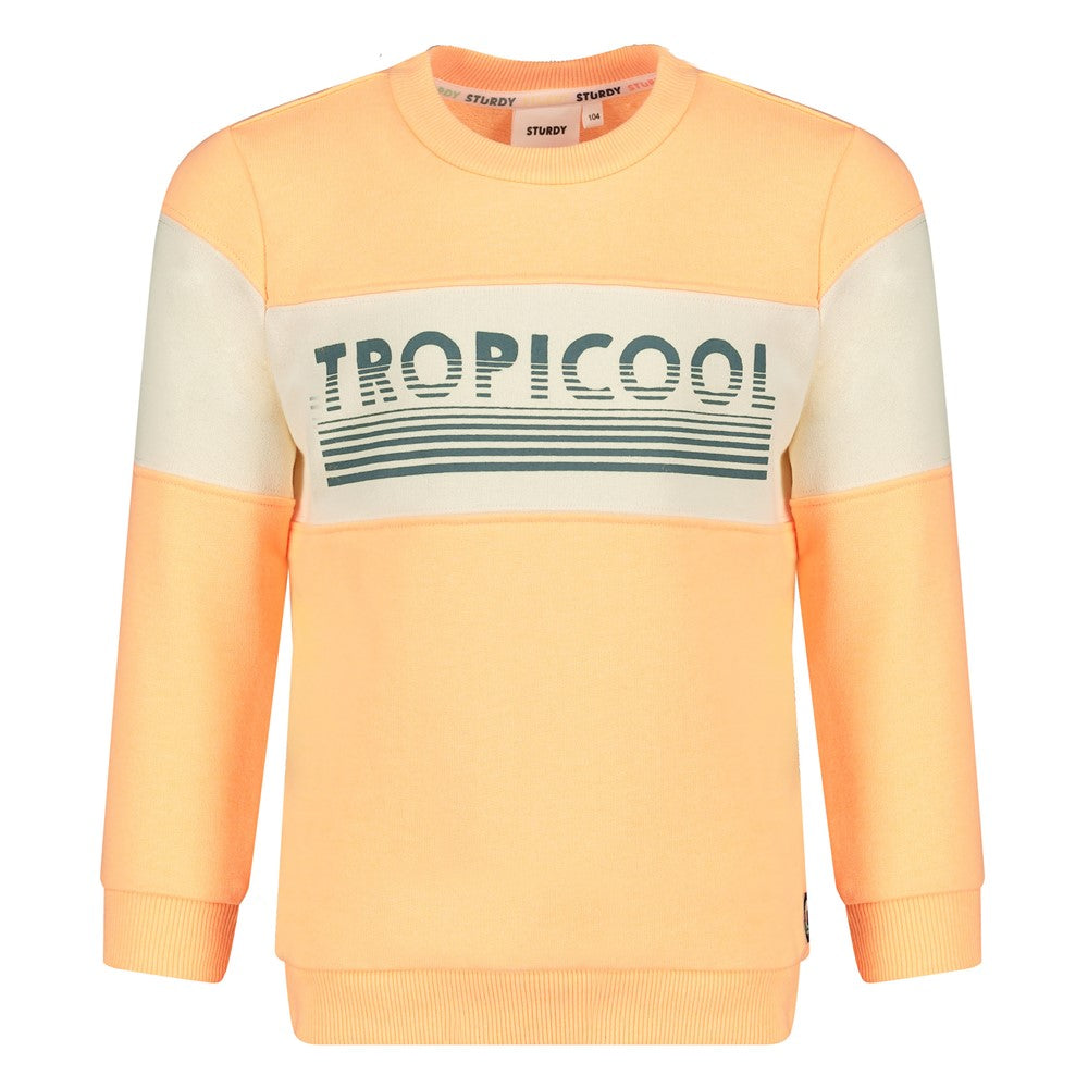 Sudadera niño Lagoon Legends