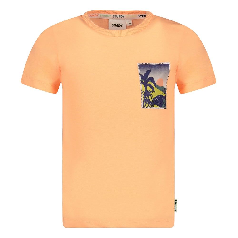 Camiseta manga corta niño Lagoon Legends