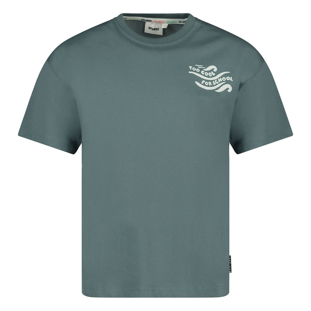 Camiseta manga corta oversized niño Lagoon Legends