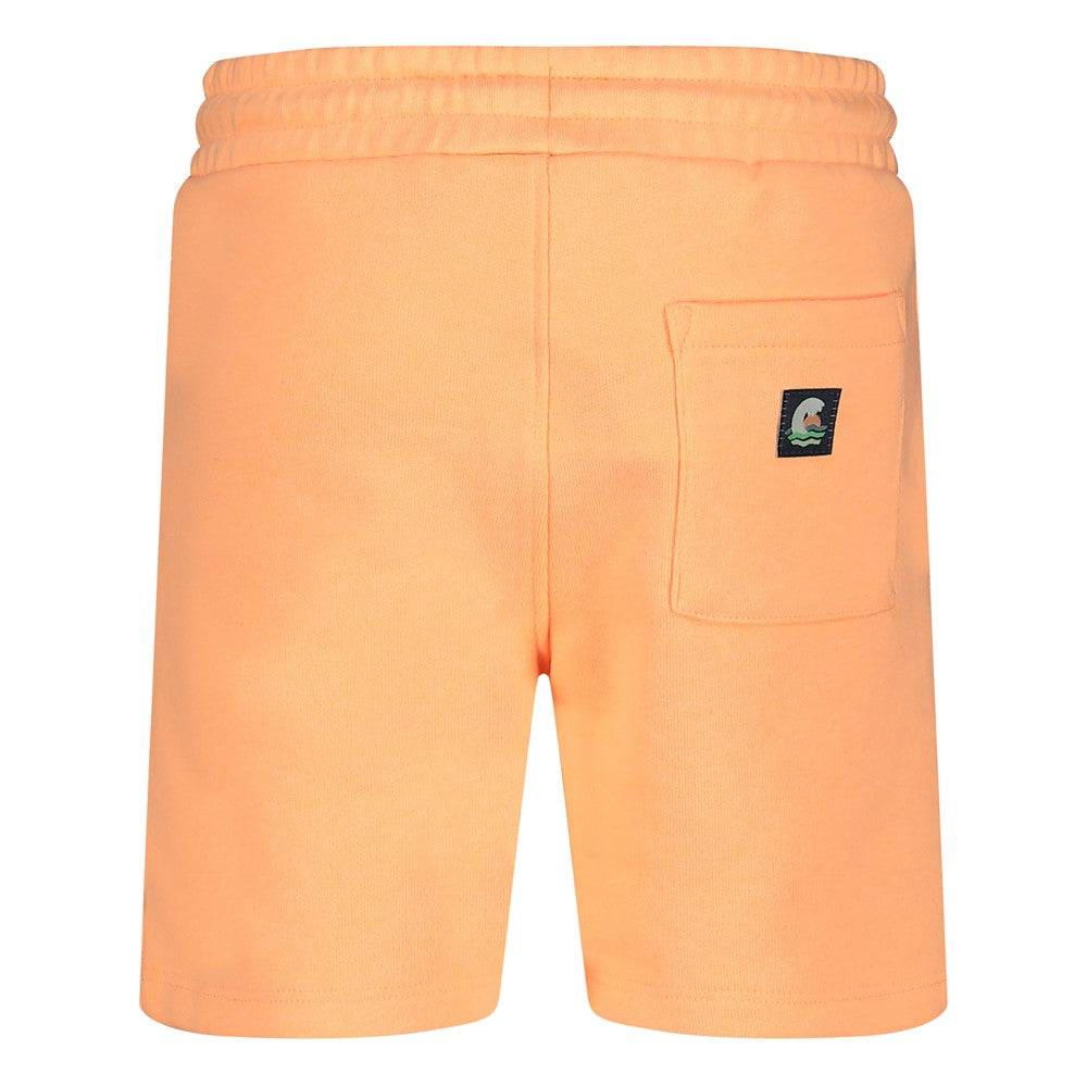 Pantalón corto niño Lagoon Legends