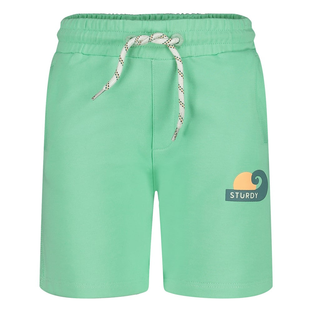 Pantalón corto niño Lagoon Legends