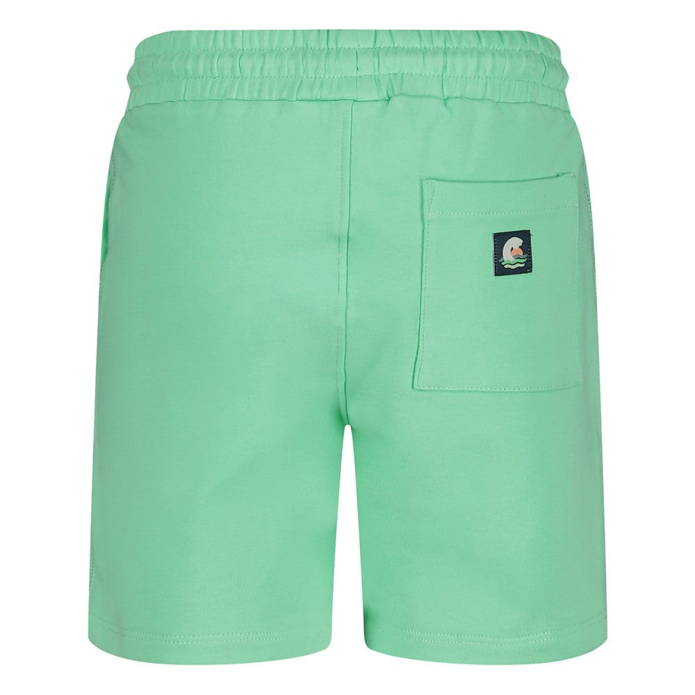 Pantalón corto niño Lagoon Legends